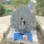 Vraj-Yatra-2014- (2463)